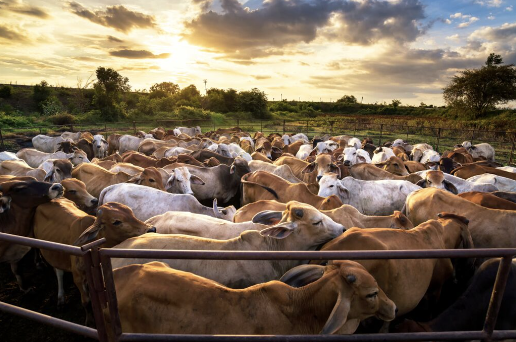 Retrieved from Cleanwater.org